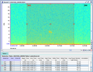 Audiobasierte Detektion